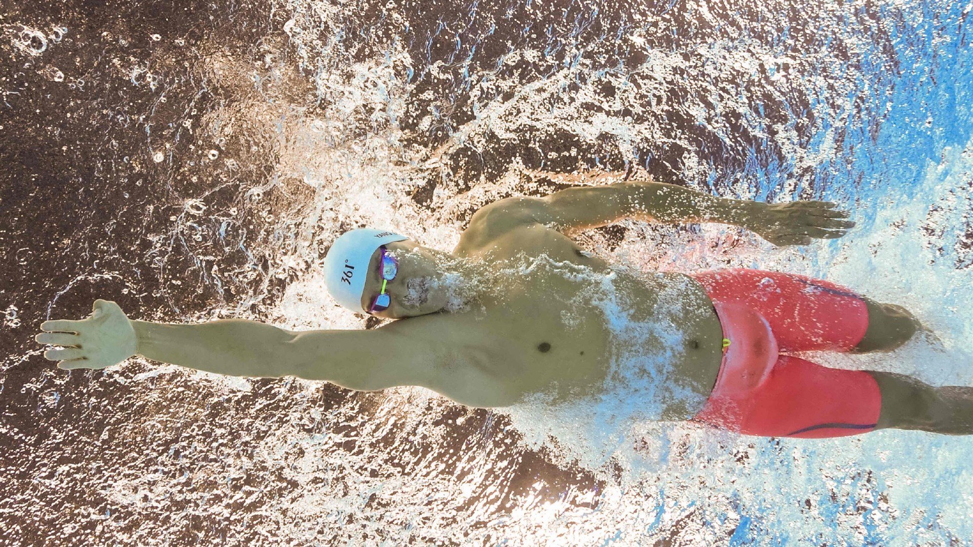 2026体育明星巅峰表现,今年的体育明星